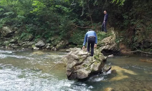 5a375f2f23ea4.jpg 下载.webp.jpg