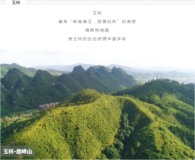 QQ截图20181221103854.png